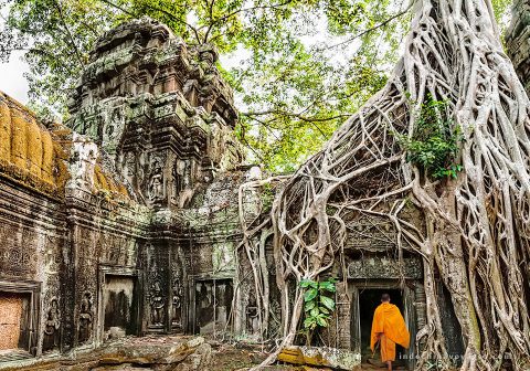 Ta Prohm - Monks and Tree roots