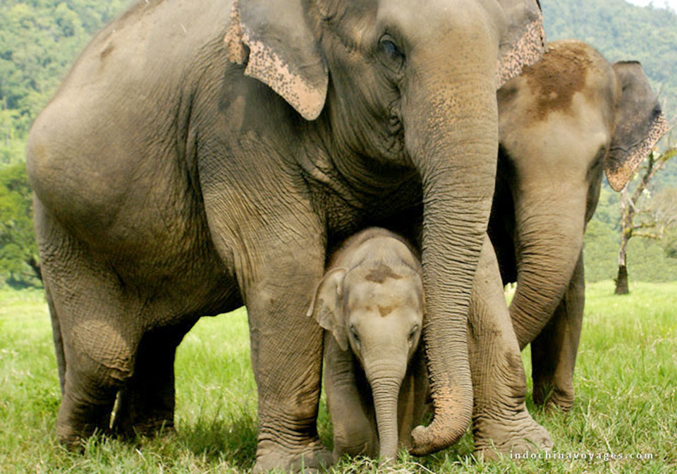 day 2 central Thailand banner