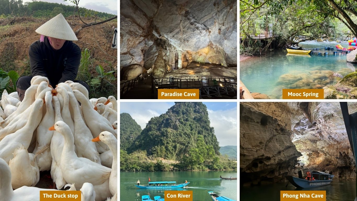 Things to do near Son Doong Cave - Paradise Cave, Mooc Spring, Con River, Phong Nha Cave and local experiences in Quang Binh Vietnam