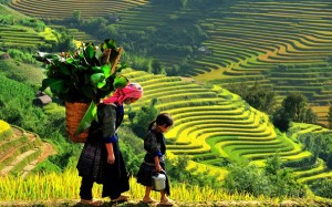 An amazing way to Ta Van village – an ideal place for Sapa homestay