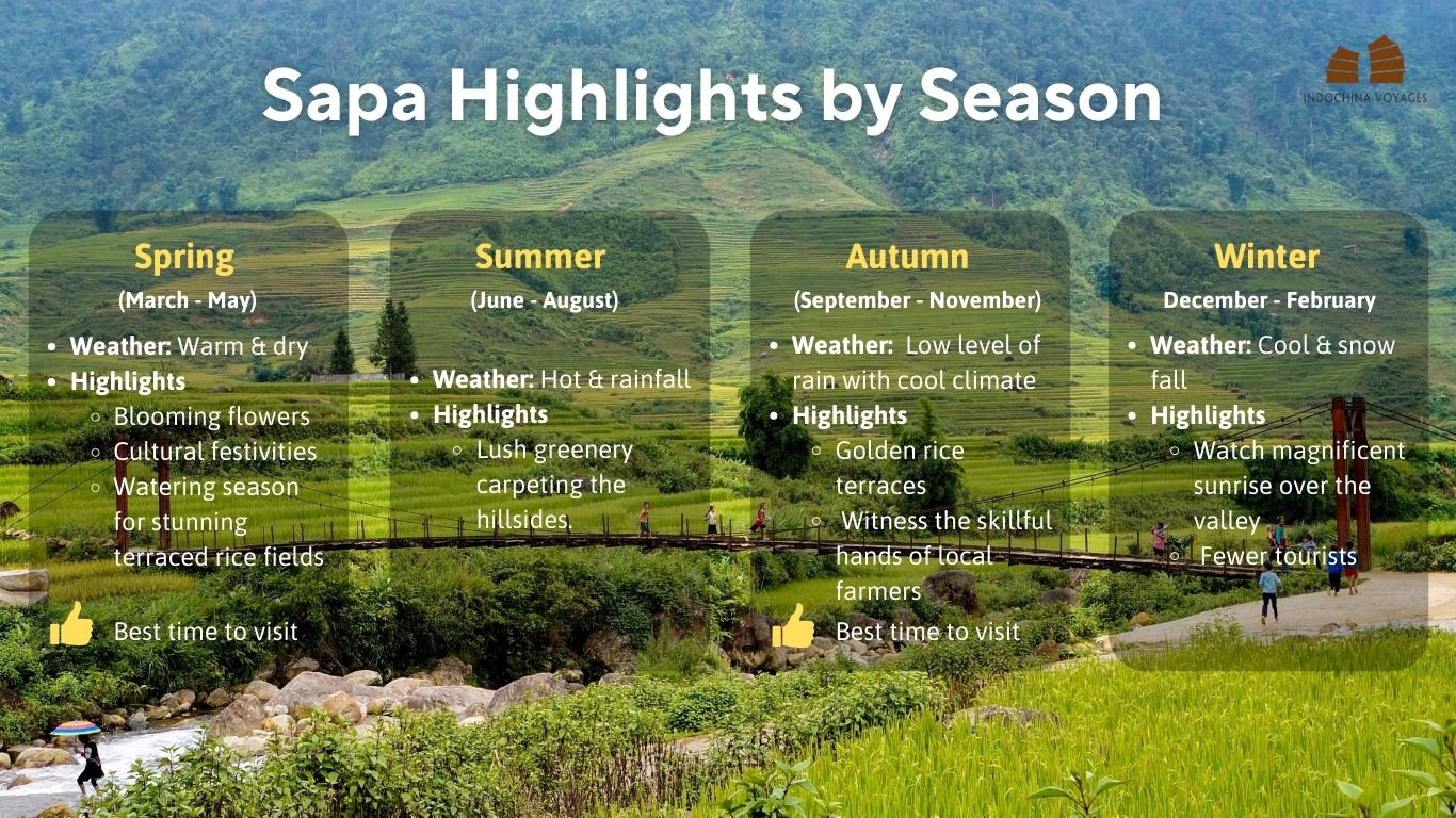 sapa highlight by season infographic