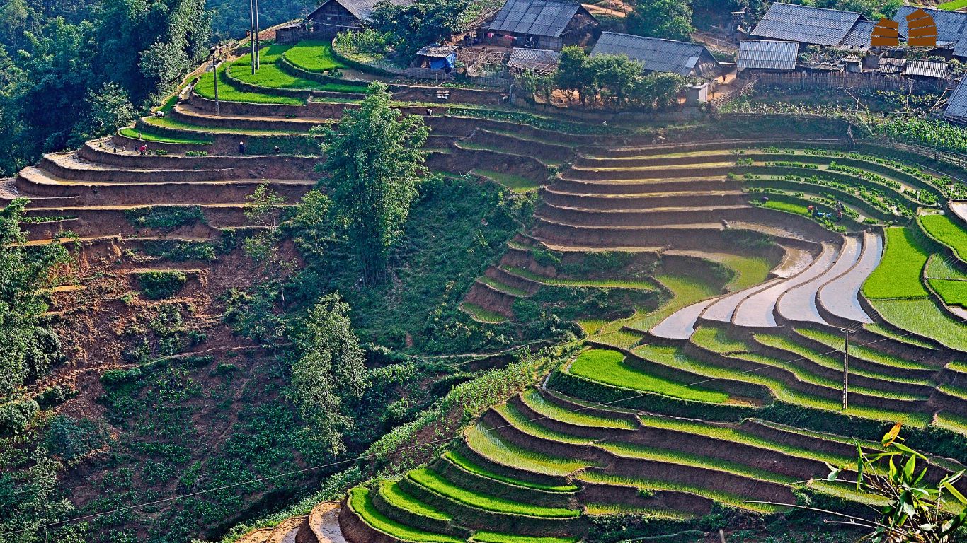 Sapa watering season during April to May