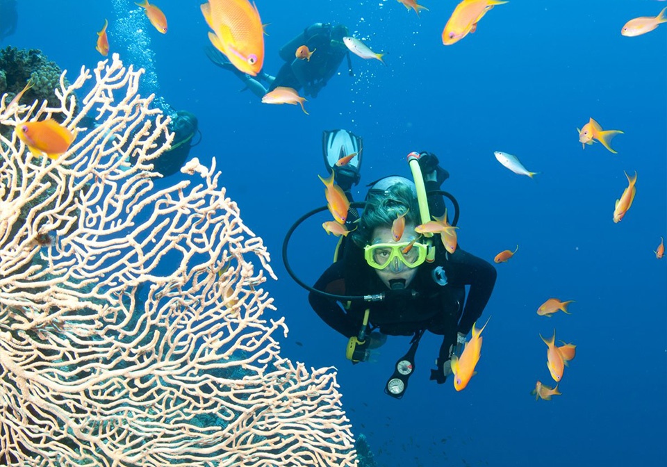 Scuba Diving in Nha Trang