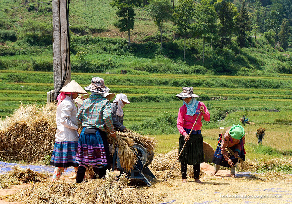 people in north mountain