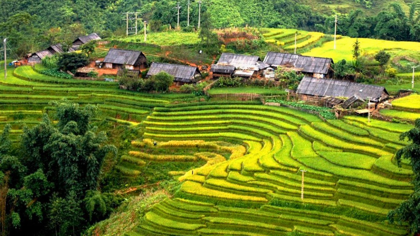 Ban Ho village Sapa