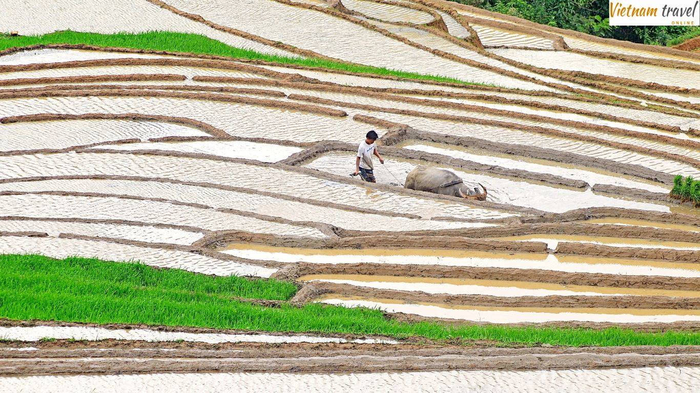 Lao Chai village Sapa