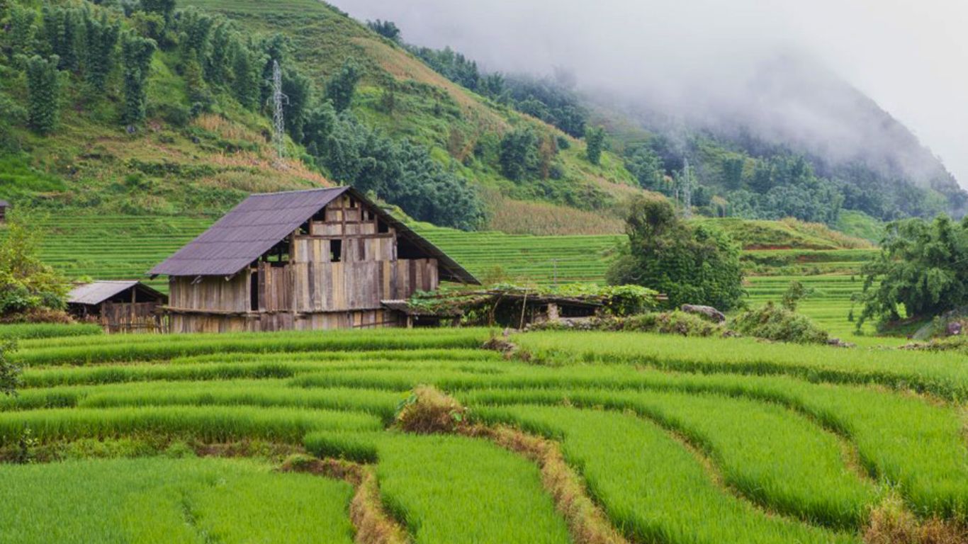Sin Chai village Sapa