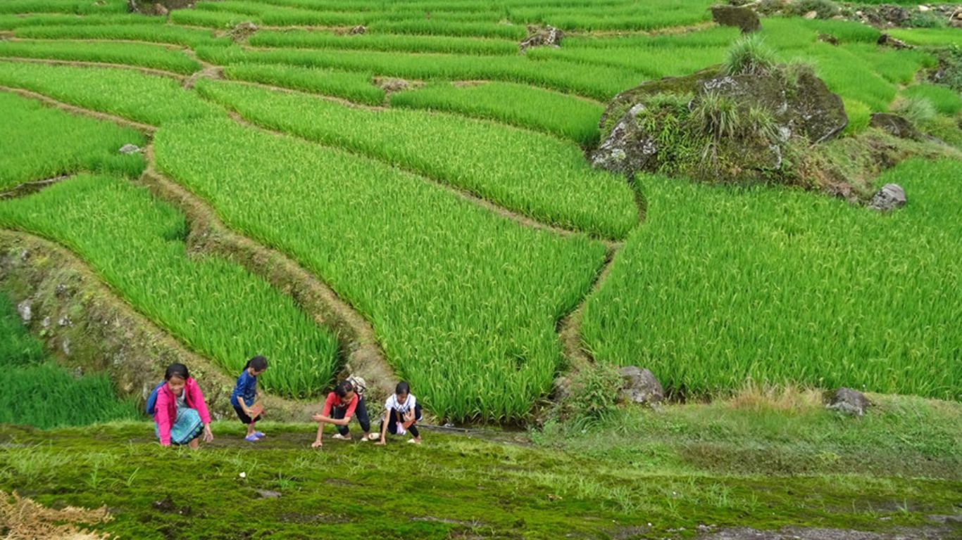 Ta Van village Sapa