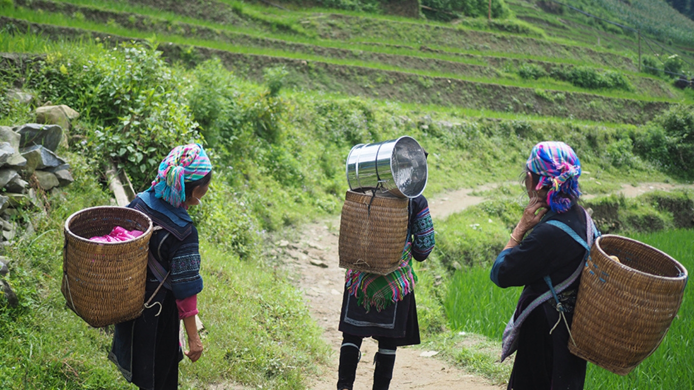 Trekking with H'mong people