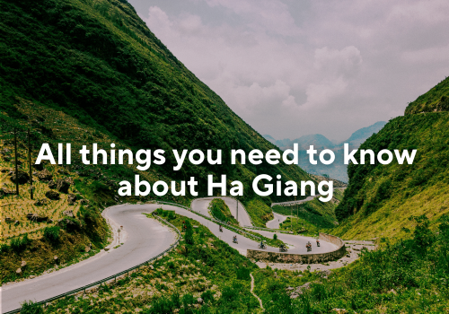 Complete Ha Giang Travel Guide: What to Do and Insider Tips