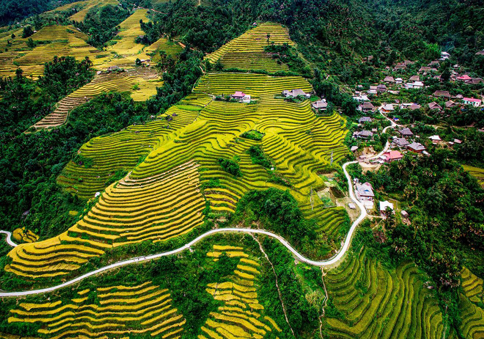 Rice terrace in Ha Giang