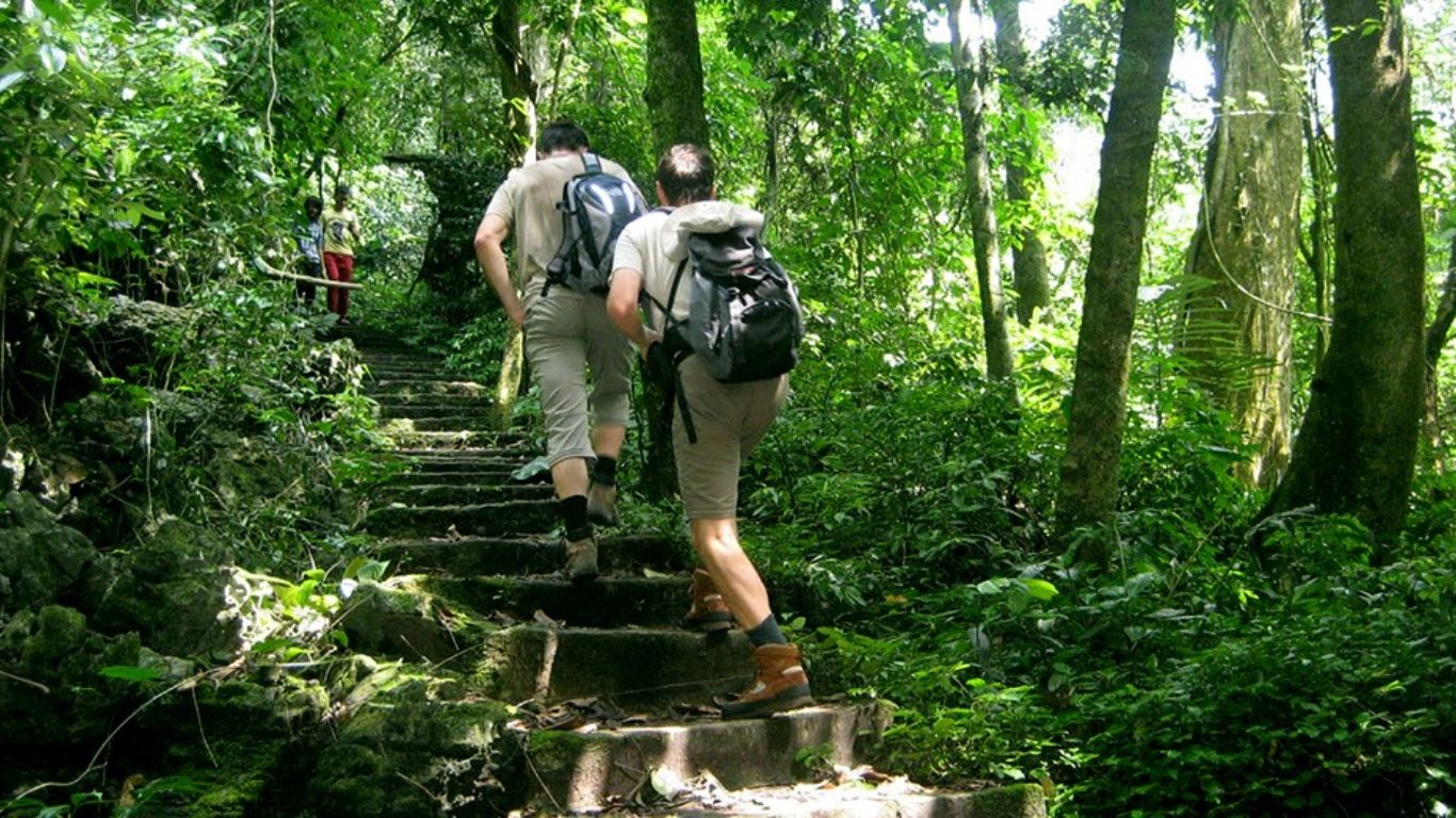 Hiking through Cuc Phuong National Park