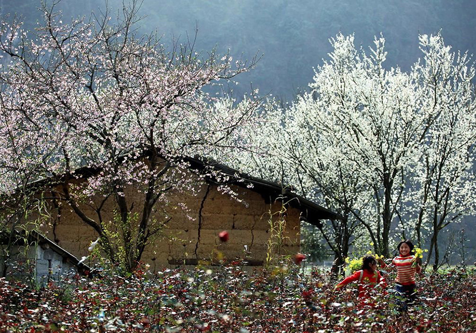 Mai Chau