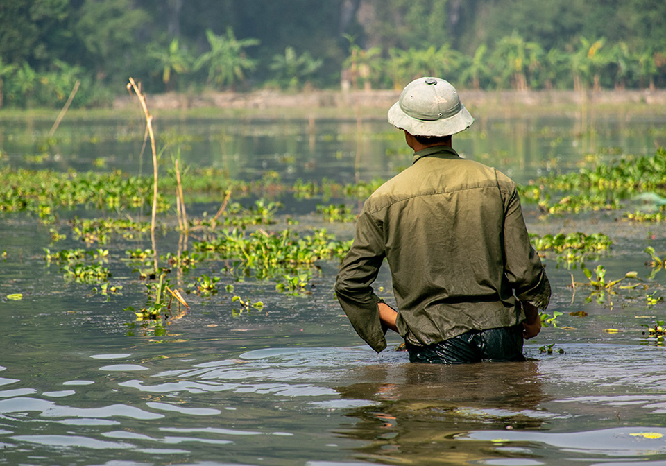 Peaceful life in Ninh Binh