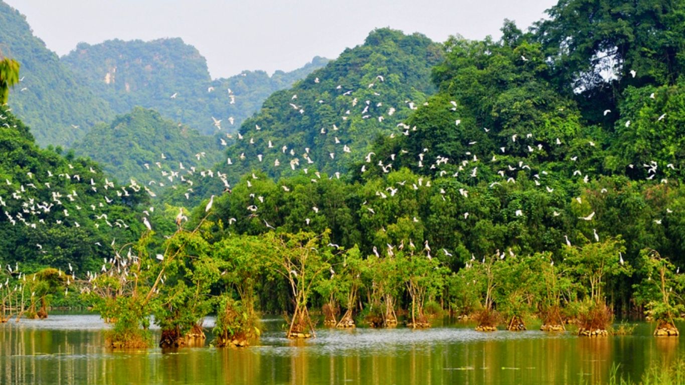 Thung Nham bird park