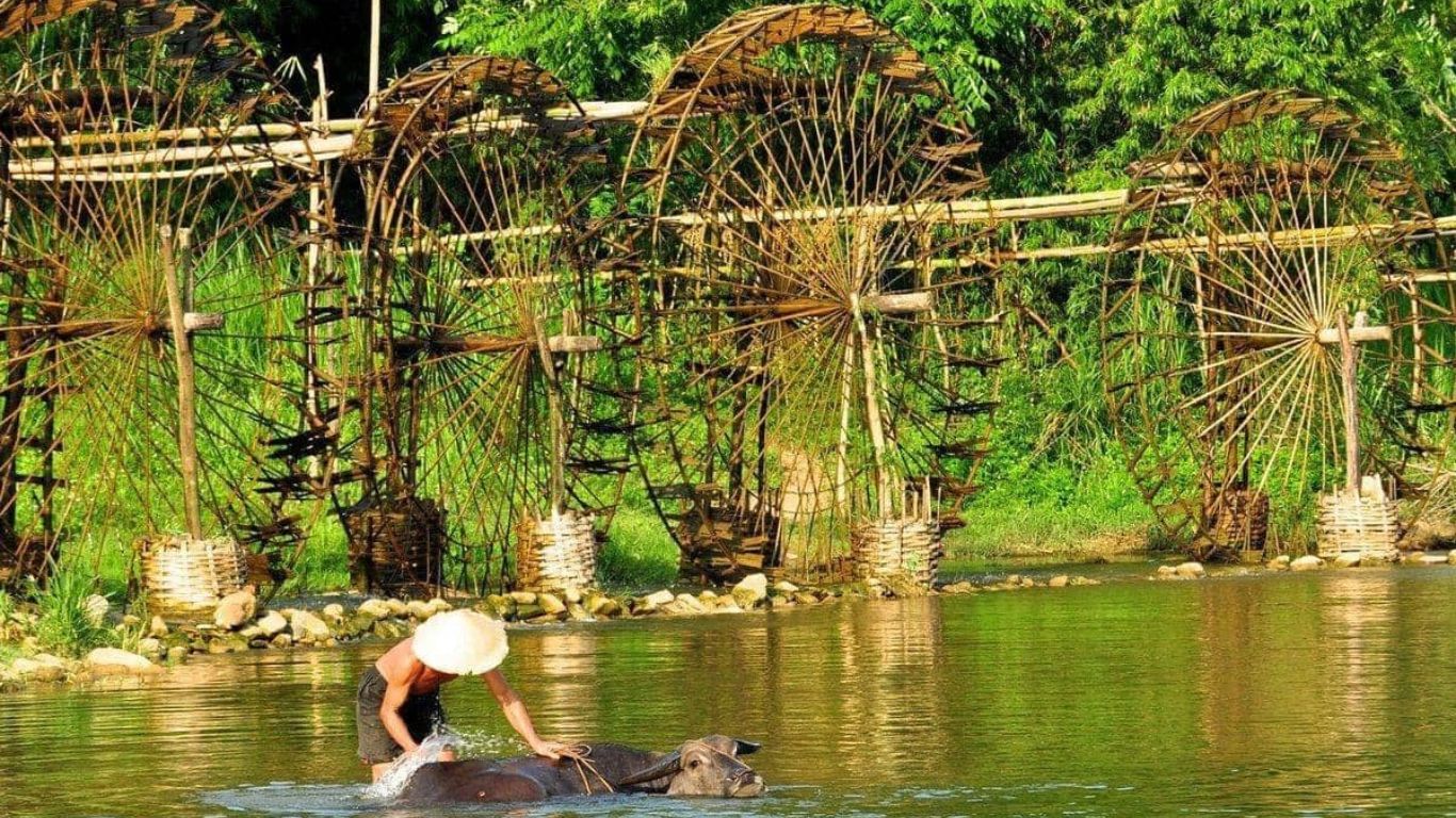 Local farmer bathing a water buffalo in the river at Chieng Lau, Pu Luong, with a row of traditional giant bamboo waterwheels and lush green forest in the background, Thanh Hoa Province, Northern Vietnam.