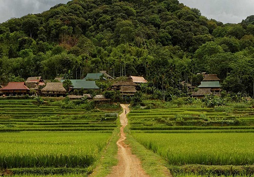 Pu Luong Nature Reserve – The primitive beauty and unique culture