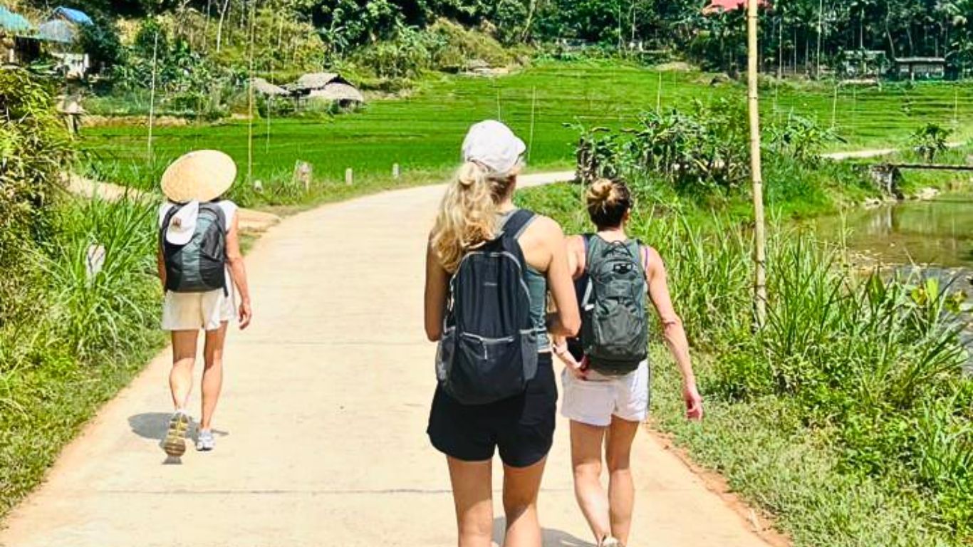 Tourists hiking along a countryside path surrounded by rice fields in Pu Luong Nature Reserve, Vietnam.