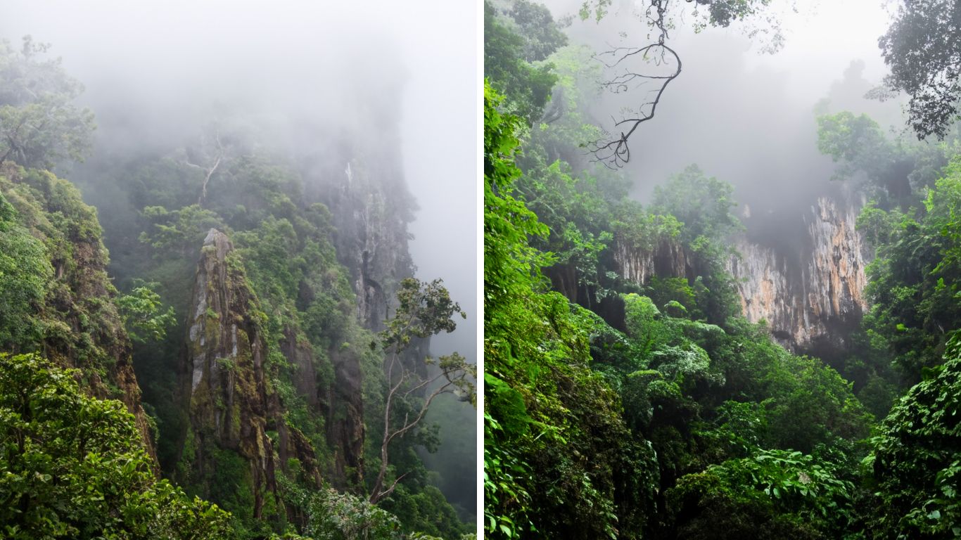 Misty limestone karst peaks rising through primary tropical forest on the May Bac Peak trekking trail in Cuc Phuong National Park, Ninh Binh, Vietnam