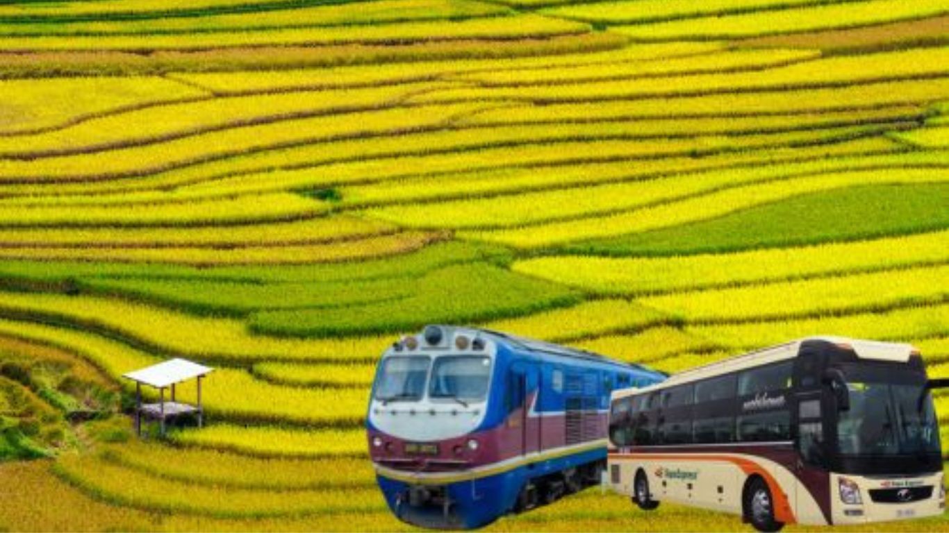 Train-or-sleeping-bus