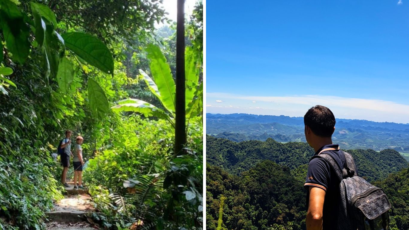  Trekkers walking through dense primary forest trail and panoramic view of Ninh Binh's karst landscape from May Bac Peak summit in Cuc Phuong National Park, Vietnam