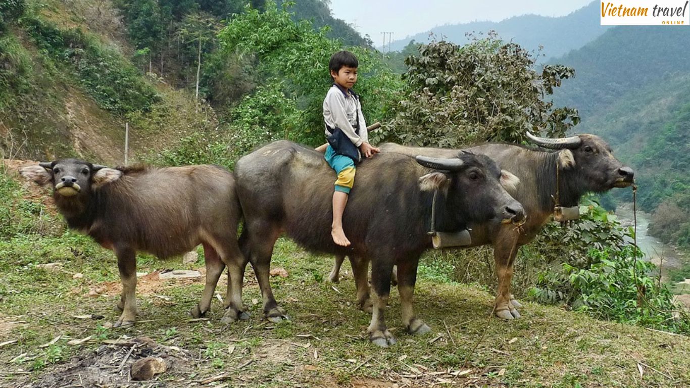 The daily life of local village