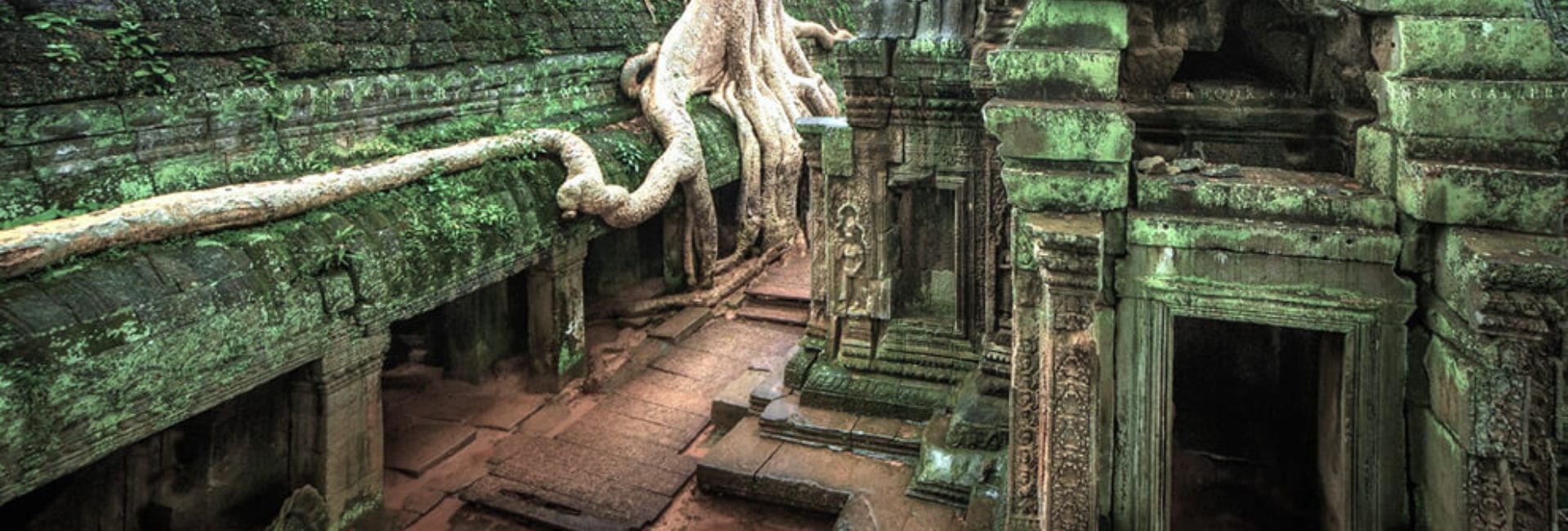 Ta Prohm Temple: Explore Cambodia’s Iconic Tree-Covered Temple