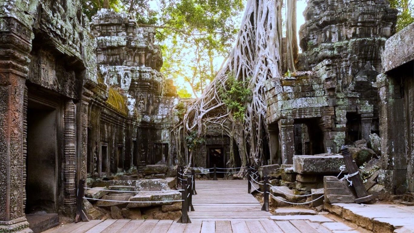 Ta Prohm Temple 