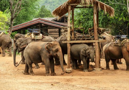 Cultural Treasures of Indochina  21 Days