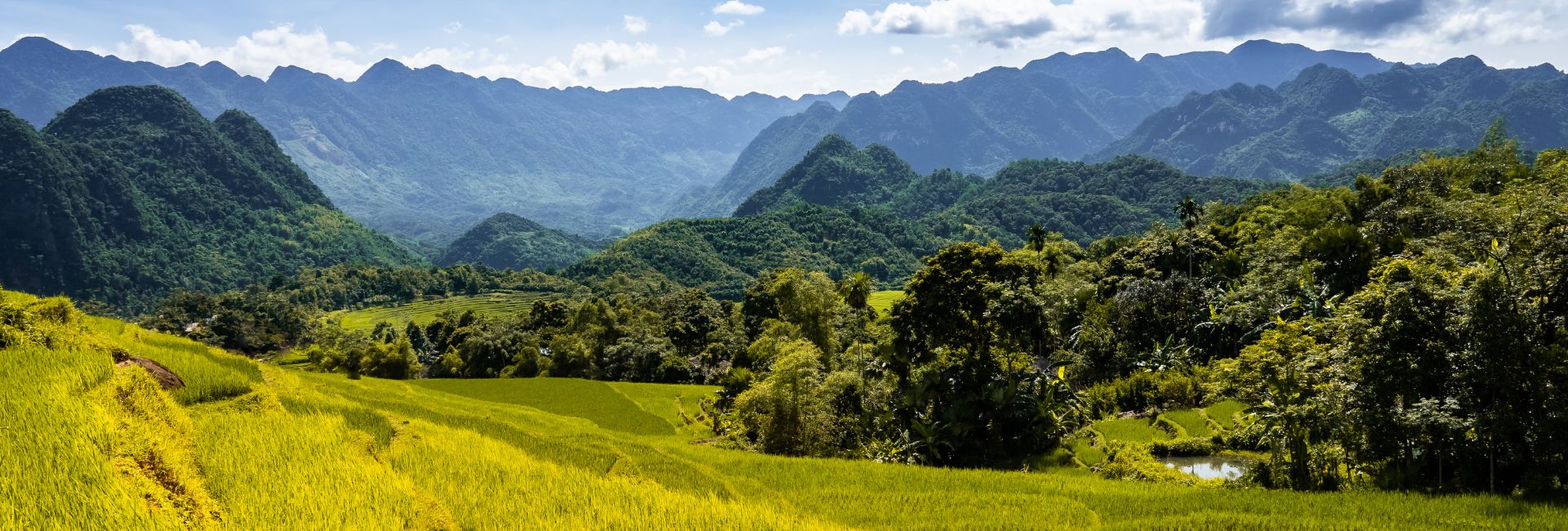Best Time to Visit Pu Luong – Finding the Golden Terraces and Misty Valleys