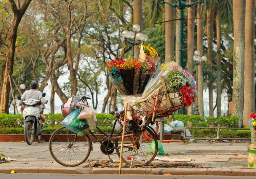 Discover Hanoi’s Top Attractions: Temples, Lakes & Hidden Gems