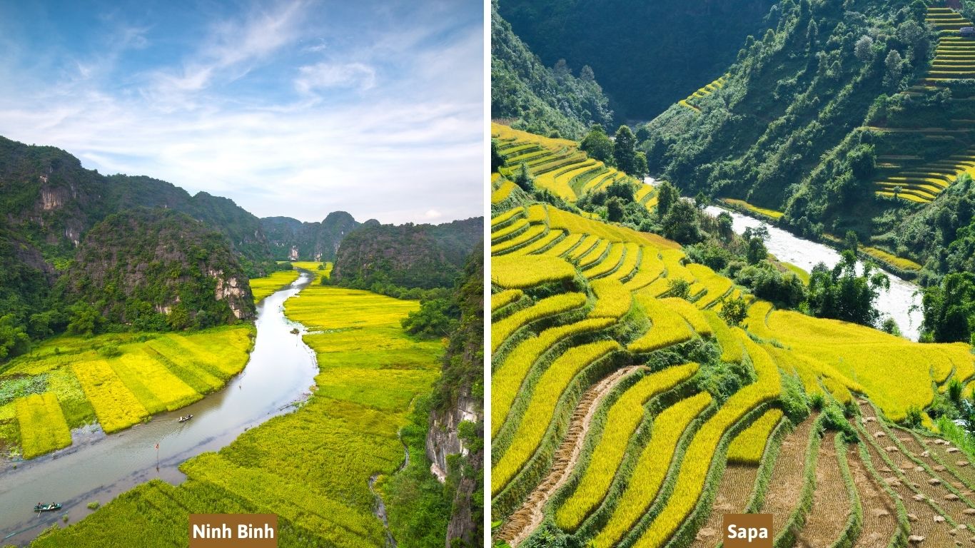 Ninh Binh or Sapa