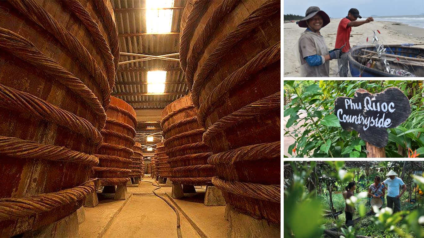 hu Quoc countryside: fish sauce factory barrels, local fishermen on the beach, and a pepper farm garden tour