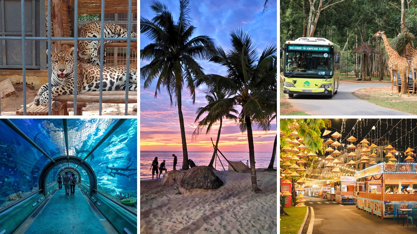 Phu Quoc attractions: Vinpearl Safari, underwater aquarium tunnel, Long Beach sunset, and Dinh Cau Night Market