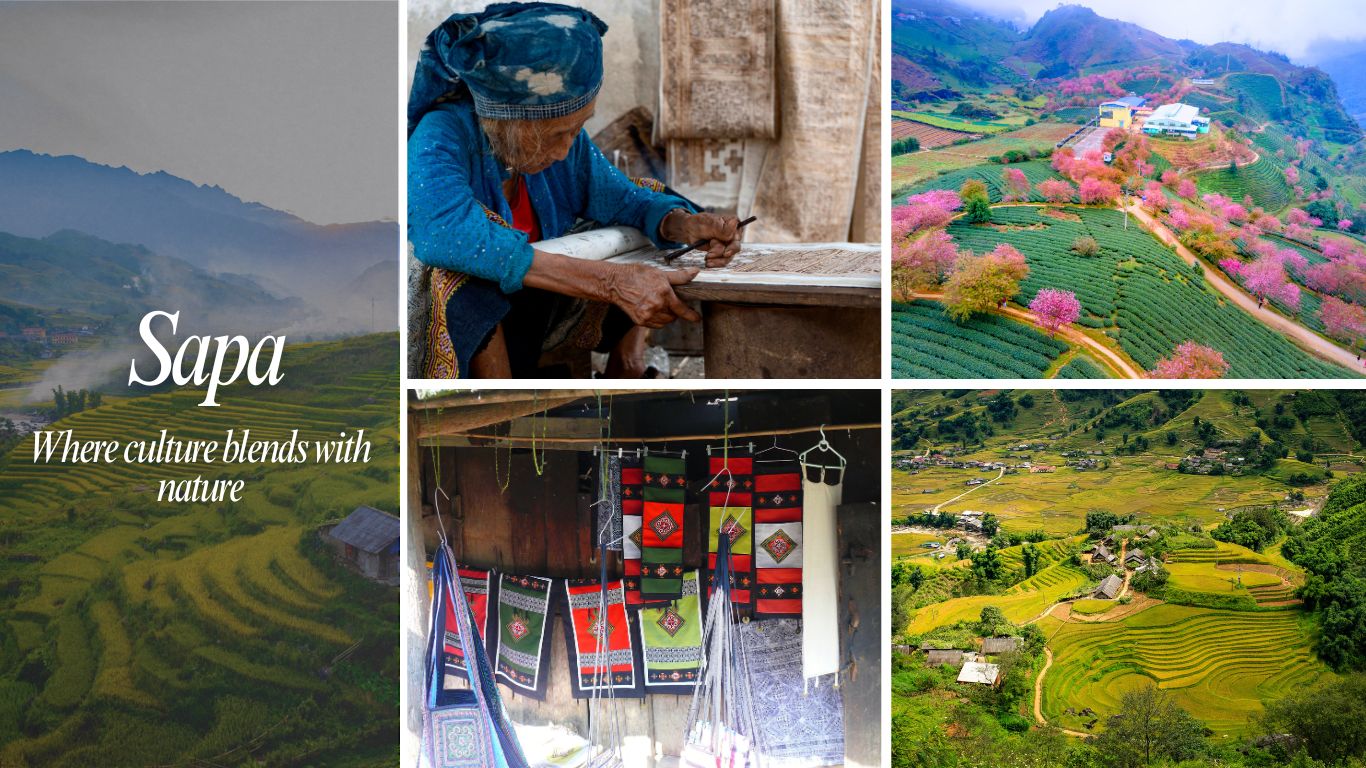 Sapa