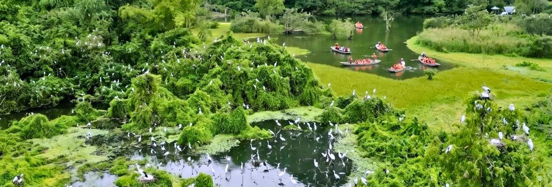 Is it worth visiting Thung Nham Bird Park? Ideal time to visit