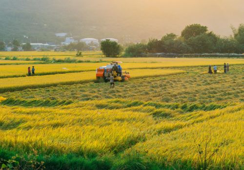 Timeless Indochina Discovery 14 Days