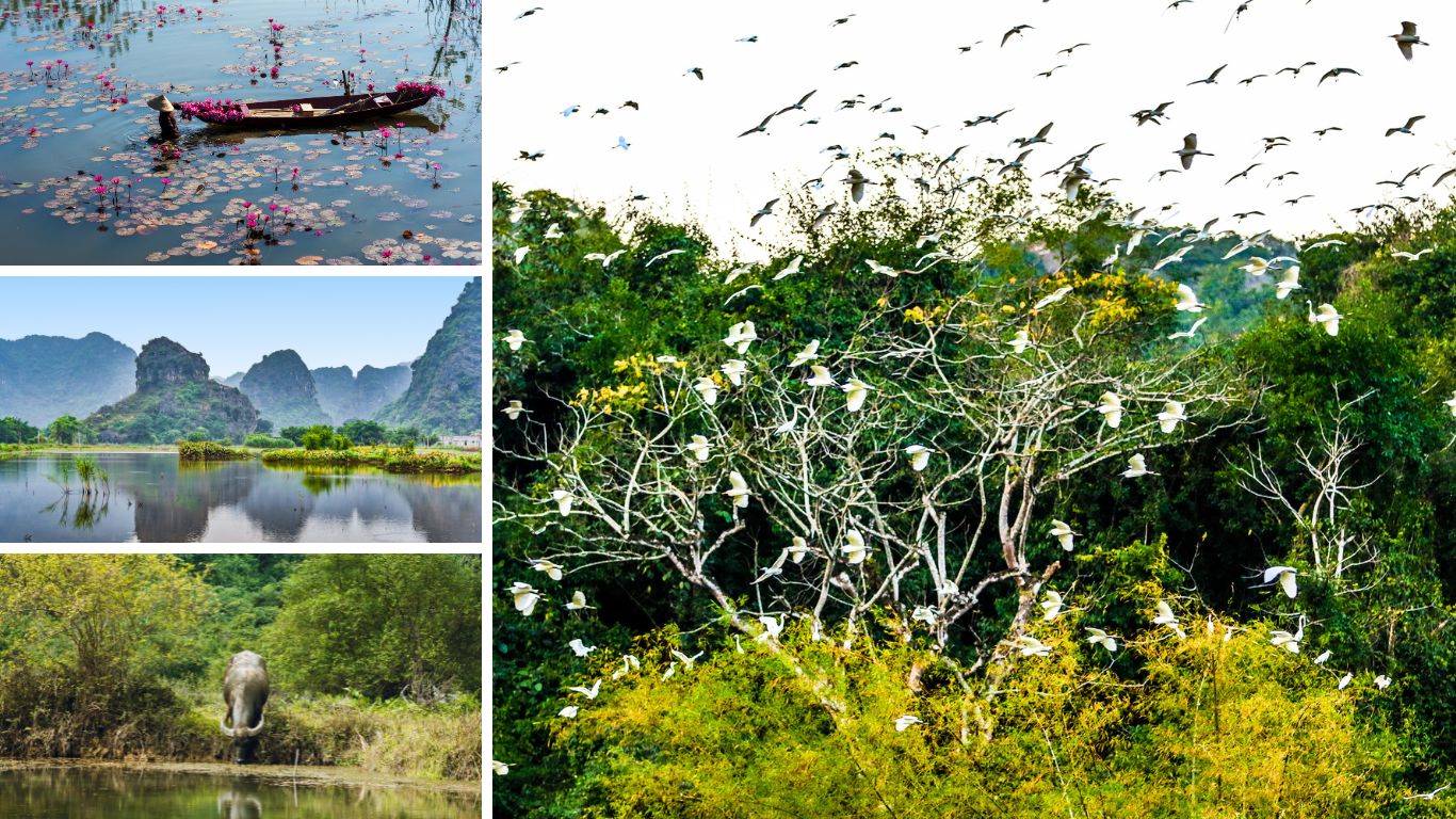 Thung Nham Bird Park