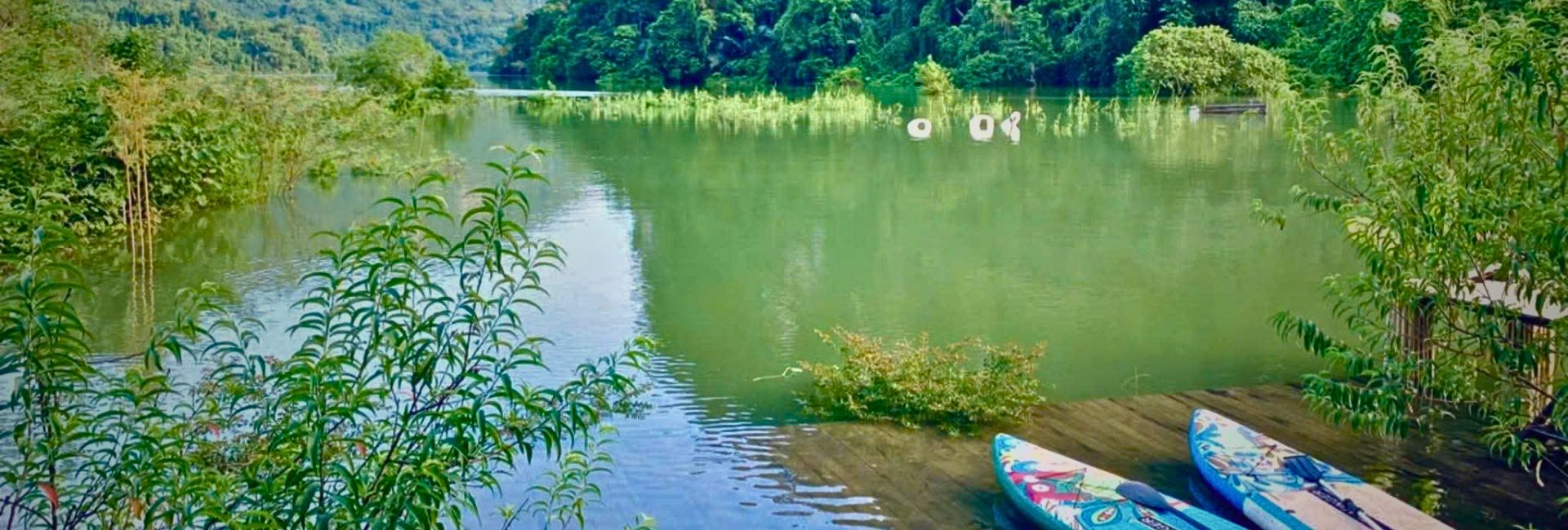 Ba Be National Park: A Complete Guide to Vietnam’s Largest Natural Freshwater Lake