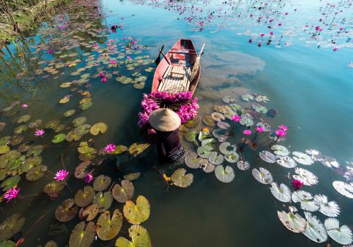 Ninh Binh in November: Golden Light, Clear Skies, and Peaceful Landscapes
