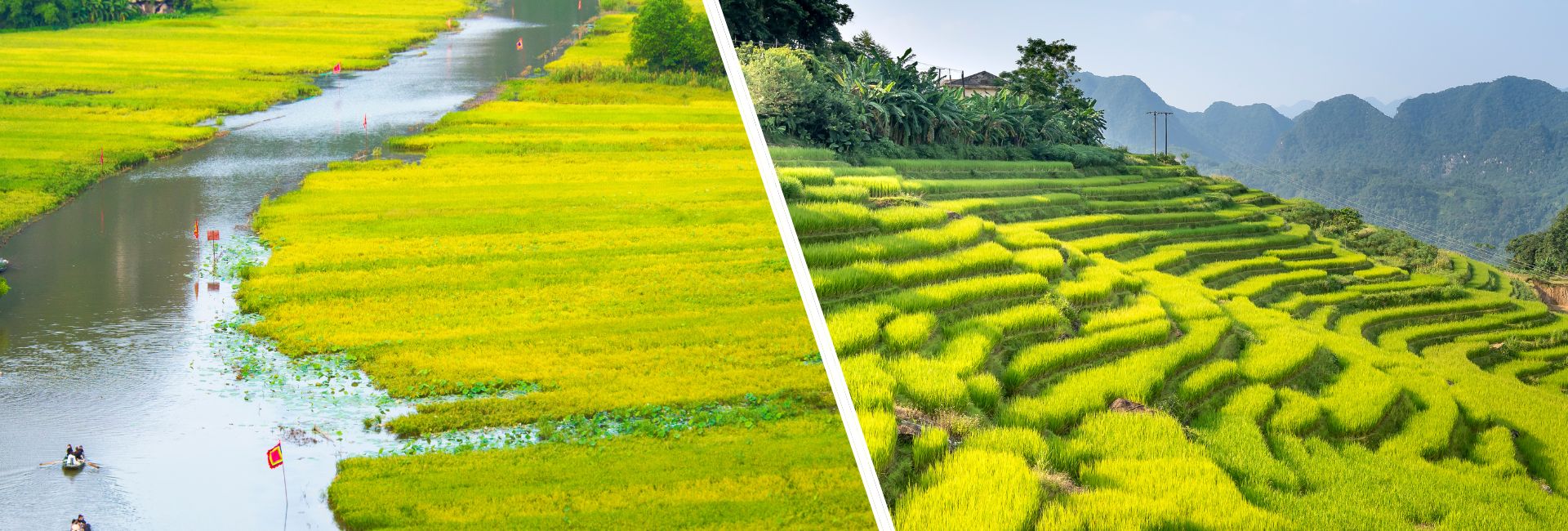 Ninh Binh vs Pu Luong: Which Countryside Adventure Suits You Best?