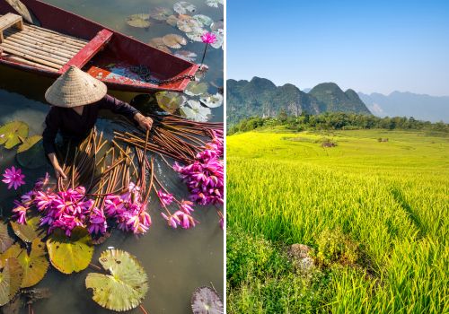 Ninh Binh vs Pu Luong: Which Countryside Adventure Suits You Best?