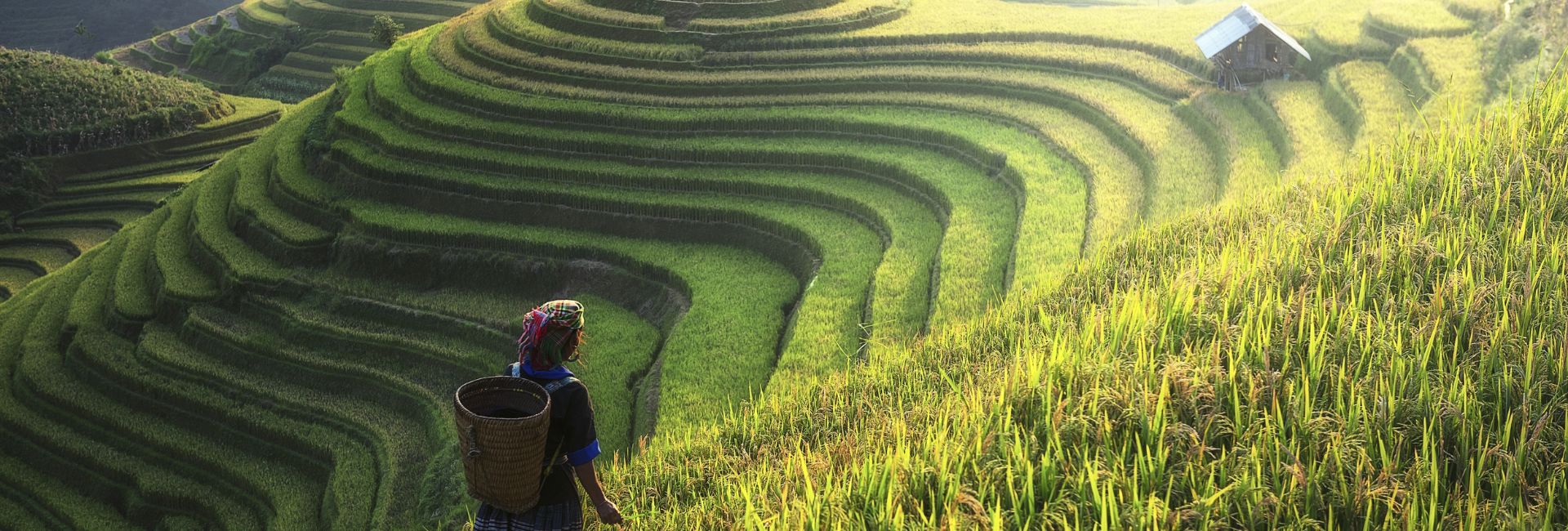 Sapa or Ha Giang: Which Northern Vietnam Gem Should You Choose?