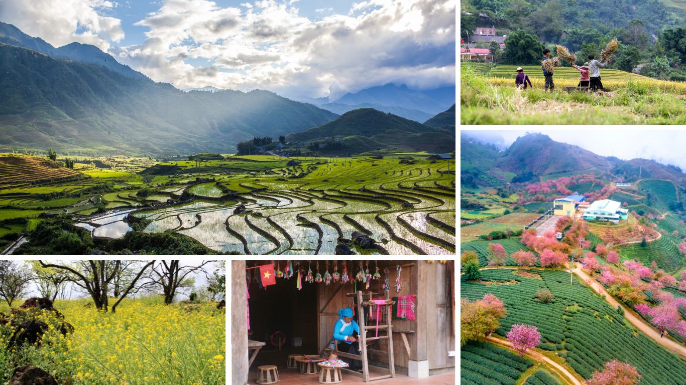 Spring-in-Sapa