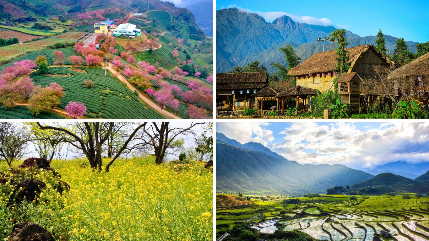 Spring-in-Sapa