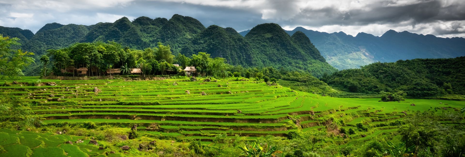 Sapa or Pu Luong: A Clear Comparison for Northern Vietnam’s Top Nature Escapes