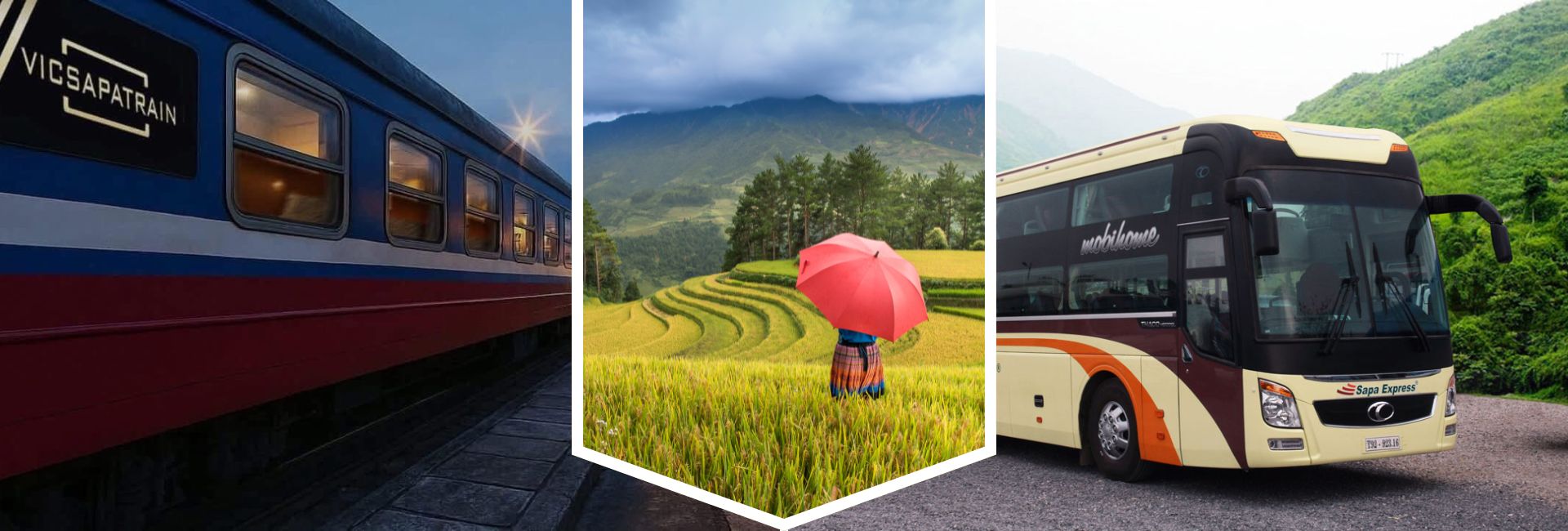Train or Sleeping Bus to Sapa: Which One Should You Choose?