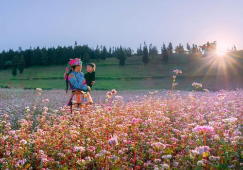 Where to Go in Vietnam in Spring? Best Places for Nature, Culture, and Easy Travel