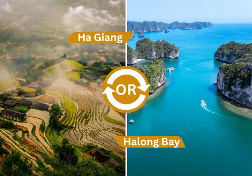 Ha Giang or Halong Bay: Which Destination Fits Your Time, Energy, and Travel Style?