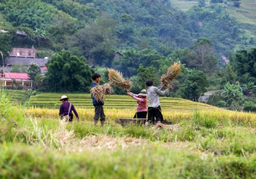 Cao Bang, Ha Giang, or Sapa: Which One Is the Best Choice for First-Time Visitors?